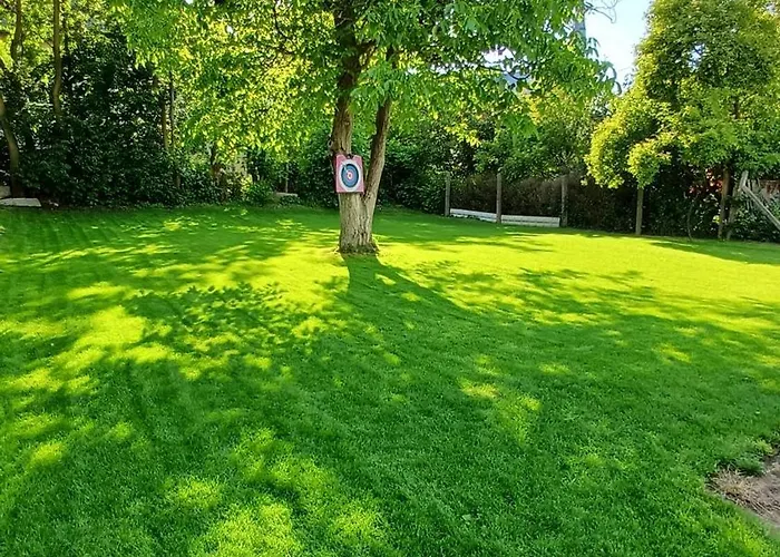 Good Place